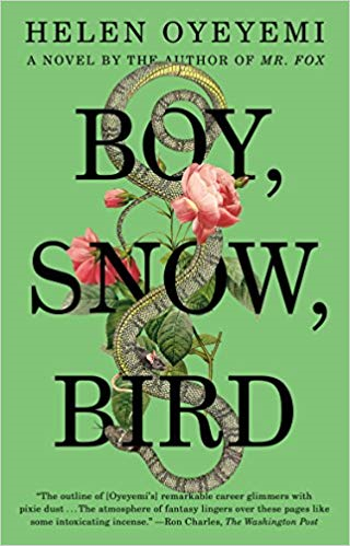 Boy, Snow, Bird Cover Image